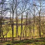 The Old Granary Tatil Evi Penruddock